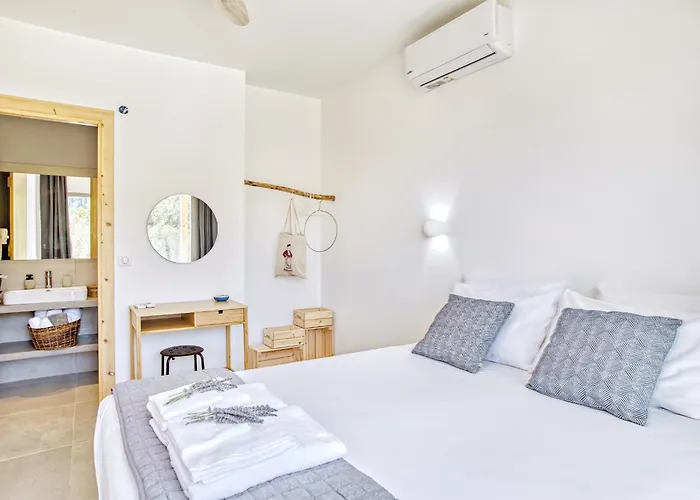 Kumquart Estate- Orange *