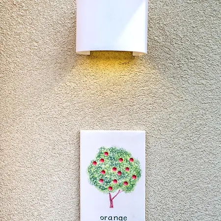 Kumquart Estate- Orange