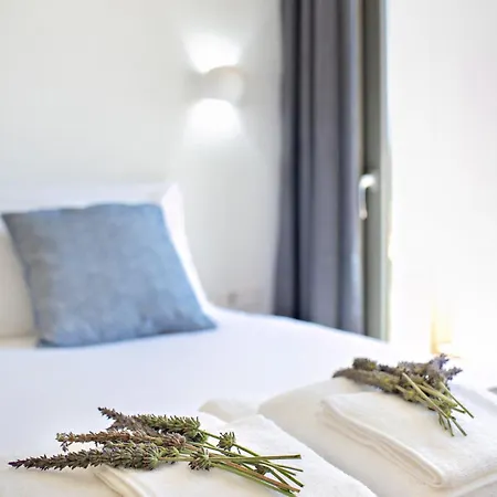 Kumquart Estate- Orange Lodge Aspiotades