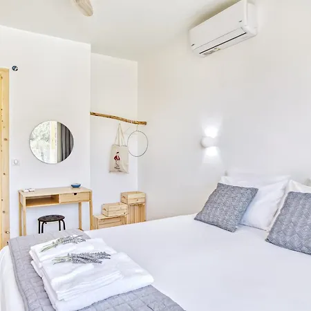 Kumquart Estate- Orange *