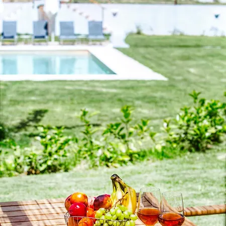 Lodge Kumquart Estate- Orange *